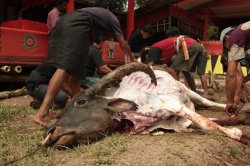 Serenidade IMG_9784 (FILEminimizer)