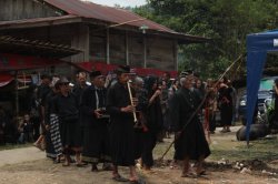 Guiando o Cortejo IMG_9804 (FILEminimizer)