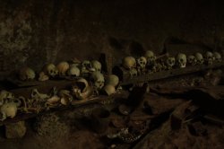 Crânios IMG_9824 (FILEminimizer)