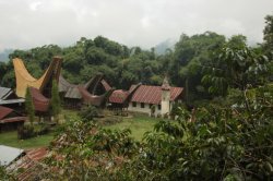 Paisagem na Montanha IMG_9909 (FILEminimizer)