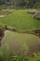 Contrastes IMG_9919 (FILEminimizer)