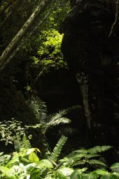 No Mundo Perdido IMG_9930 (FILEminimizer)