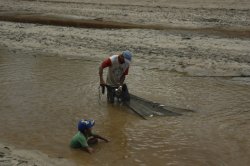 _MG_0113 (FILEminimizer)