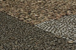 _MG_0130 (FILEminimizer)