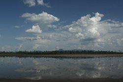 _MG_0208 (FILEminimizer)