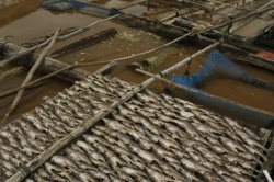 _MG_9981 (FILEminimizer)