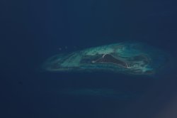 IMG_0195 (FILEminimizer)