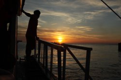 IMG_0240 (FILEminimizer)