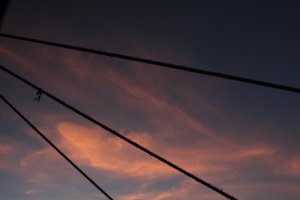 IMG_0246 (FILEminimizer)