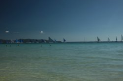 IMG_0264 (FILEminimizer)