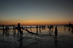 IMG_0320 (FILEminimizer)