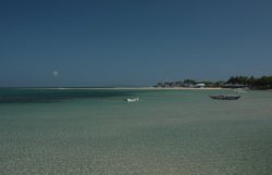 IMG_0499 (FILEminimizer)