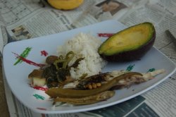 IMG_0508 (FILEminimizer)