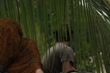 IMG_0546 (FILEminimizer)