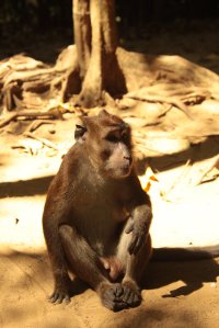 IMG_0647 (FILEminimizer)