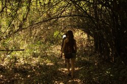 IMG_0682 (FILEminimizer)