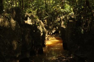 IMG_0688 (FILEminimizer)