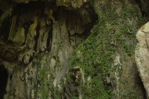 IMG_0714 (FILEminimizer)