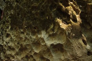 IMG_0751 (FILEminimizer)