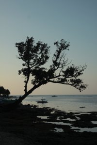 IMG_0763 (FILEminimizer)