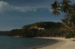 IMG_0786 (FILEminimizer)