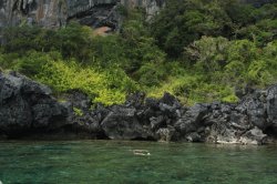 IMG_0889 (FILEminimizer)