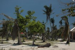 IMG_1119 (FILEminimizer)