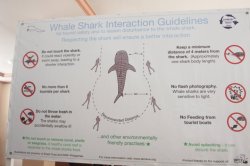 As Regras IMG_1226 (FILEminimizer)