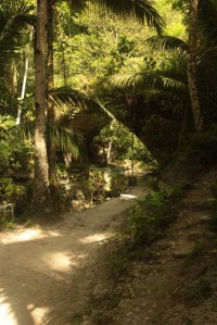 IMG_1269 (FILEminimizer)