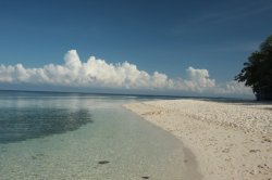 IMG_1310 (FILEminimizer)