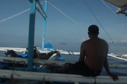 IMG_1341 (FILEminimizer)