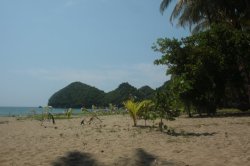 IMG_1367 (FILEminimizer)