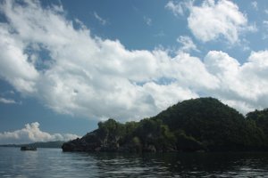 IMG_1450 (FILEminimizer)