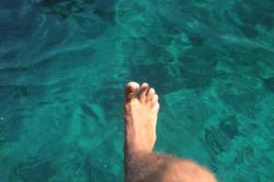 IMG_1472 (FILEminimizer)