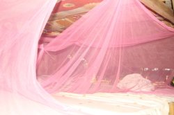 IMG_1489 (FILEminimizer)