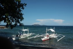 IMG_1513 (FILEminimizer)