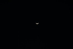 IMG_1550 (FILEminimizer)