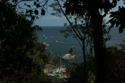 IMG_1556 (FILEminimizer)