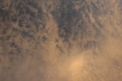 IMG_1581 (FILEminimizer)