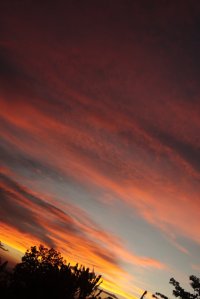 IMG_1596 (FILEminimizer)