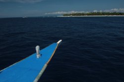 IMG_1611 (FILEminimizer)