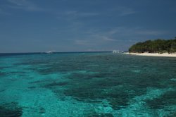 IMG_1613 (FILEminimizer)