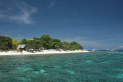 IMG_1616 (FILEminimizer)