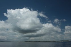 IMG_1623 (FILEminimizer)