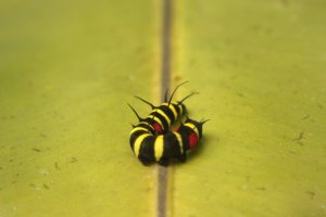 IMG_1670 (FILEminimizer)