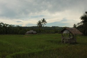 IMG_1746 (FILEminimizer)