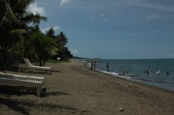 IMG_1781 (FILEminimizer)