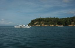 IMG_1863 (FILEminimizer)