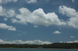 IMG_1871 (FILEminimizer)