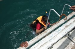 IMG_1872 (FILEminimizer)